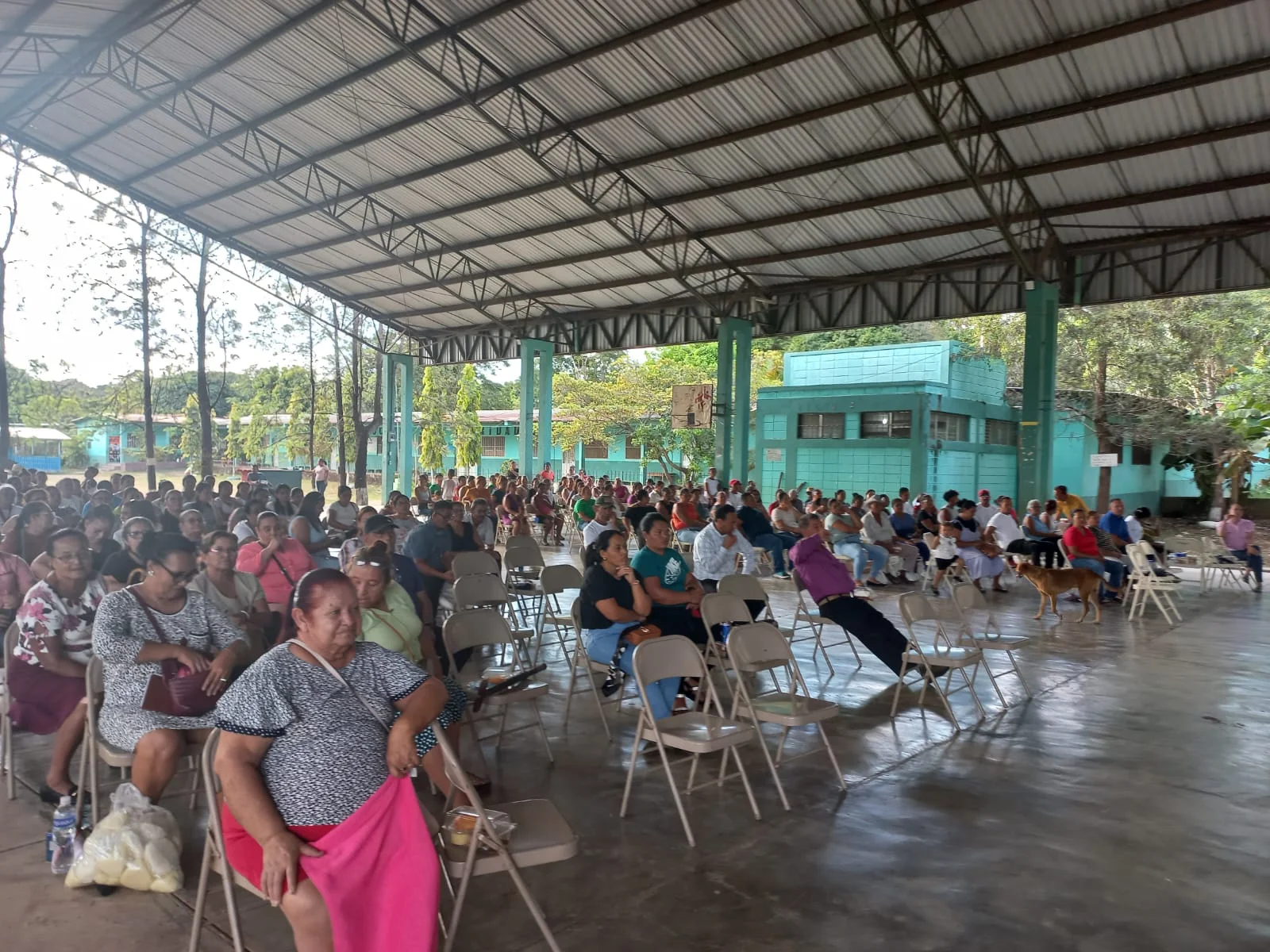 Asambleas Anuales